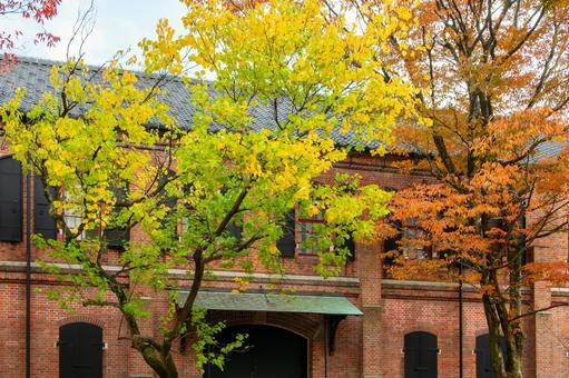 石川県立歴史博物館と紅葉した庭2 石川県立歴史博物館と紅葉した庭2の写真
