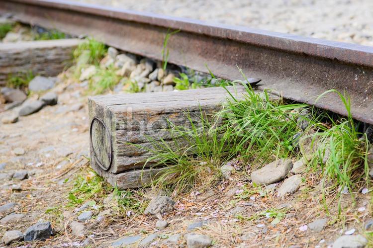 線路　素材　イメージ 線路,鉄道,素材の写真素材