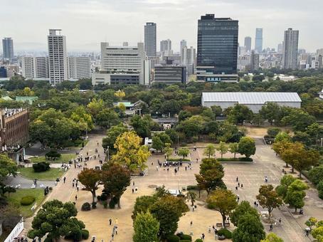 本丸の風景 本丸の風景 風景,木,都市の写真素材