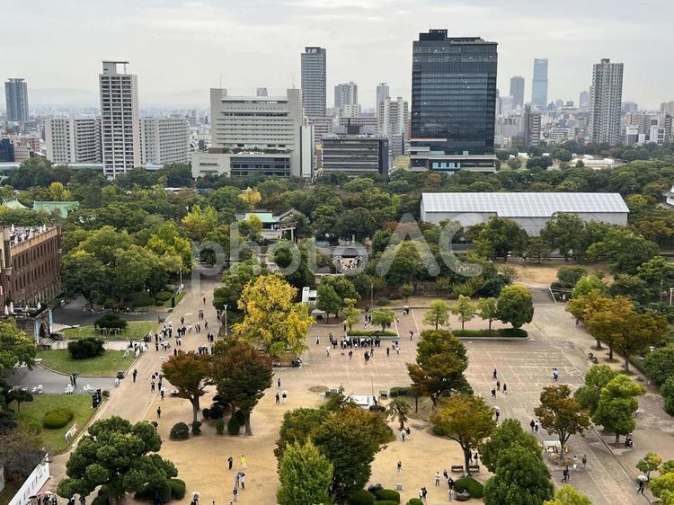 本丸の風景 風景,木,都市の写真素材
