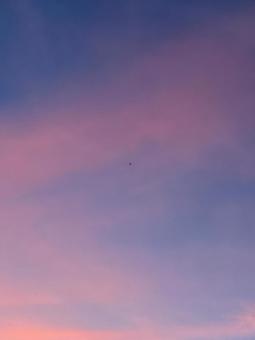 夕暮れの空 夕暮れの空の写真