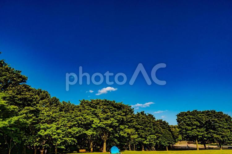 公園：青空と雲 公園,青空,空の写真素材
