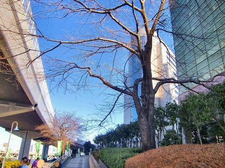 高速直下の遊歩道 高速直下の遊歩道 首都高速,直下,遊歩道の写真素材