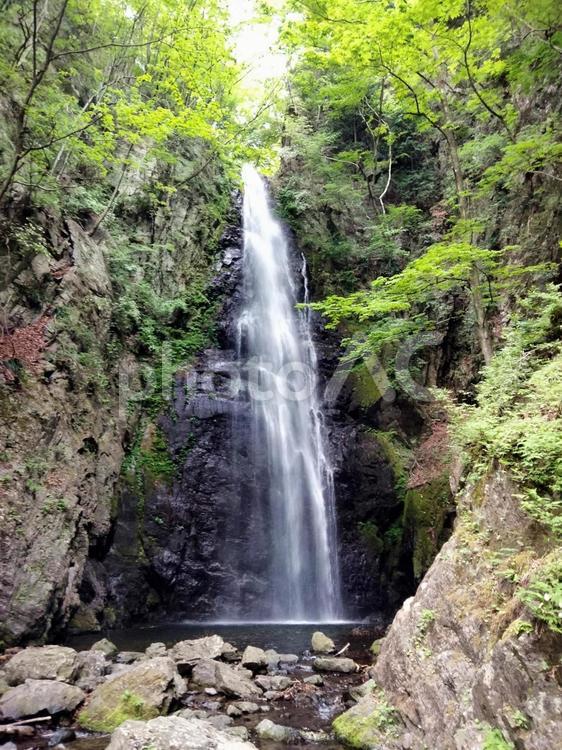 5月　新緑の川苔山　百尋の滝 川苔山,百尋ノ滝,奥多摩の写真素材
