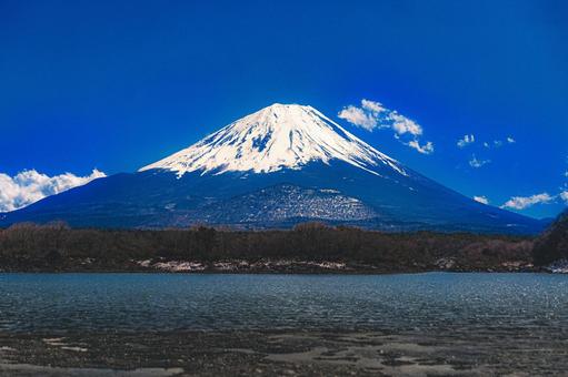 精進湖と富士山 精進湖と富士山の写真