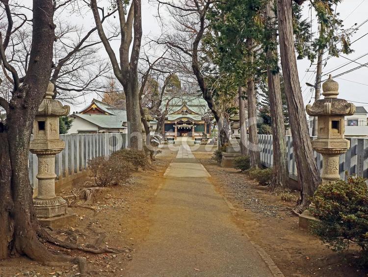 上赤塚氷川神社（板橋） 上赤塚氷川神社,素戔嗚命,藤原広継命の写真素材