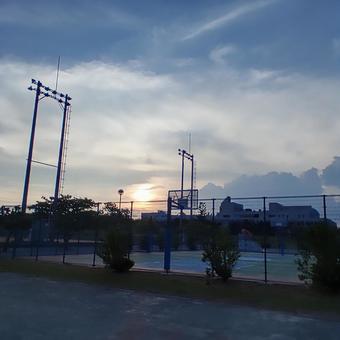 夕日 夕日の写真