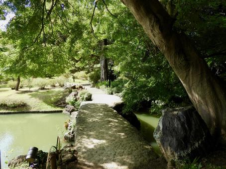 特別名勝六義園渡月橋 特別名勝六義園渡月橋 六義園,庭園,大名庭園の写真素材