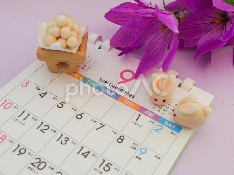 9月のカレンダー　お月見③ 9月,カレンダー,お月見の写真素材