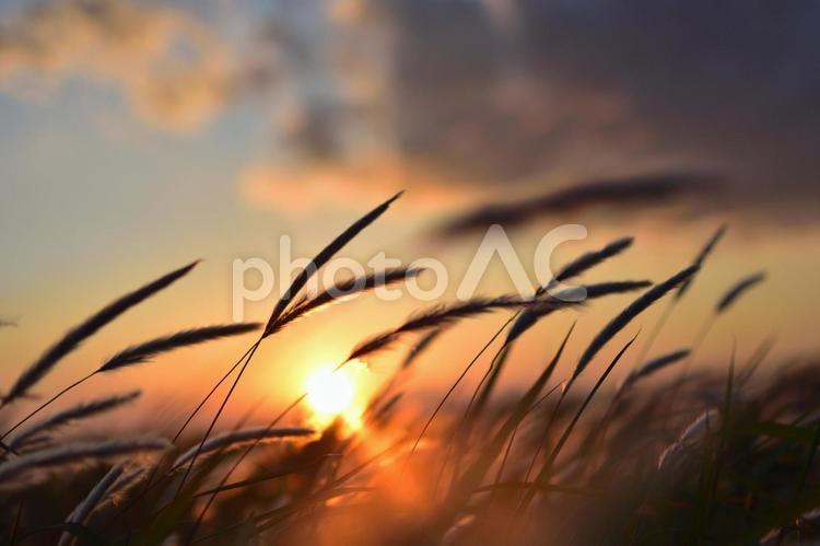 夕暮れ 雲,空,夏の写真素材