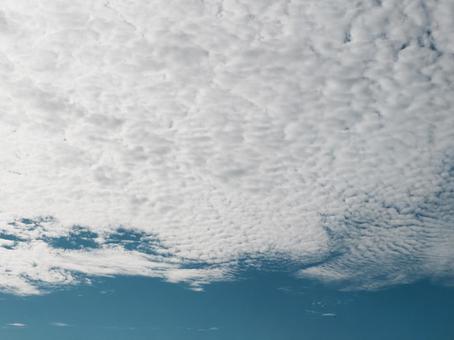 秋の鱗雲 秋の鱗雲の写真