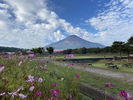 富士山 富士山の写真