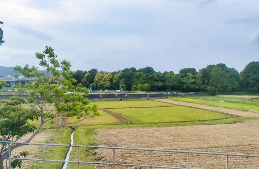 身延線車窓から富士市厚原あたりの田園風景 身延線車窓から富士市厚原あたりの田園風景の写真