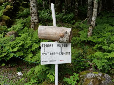 北沢峠の道標 北沢峠,道標,南アルプスの写真素材