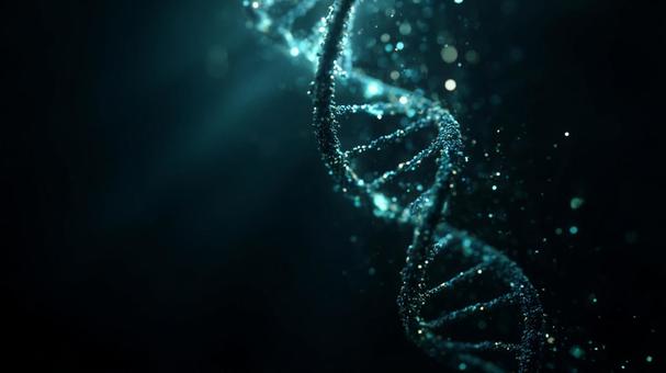 暗闇に輝く生命の鎖:DNAの二重らせん 暗闇に輝く生命の鎖:DNAの二重らせんの写真