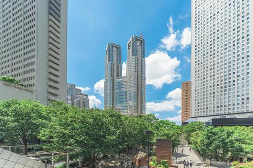 東京都庁と西新宿の高層ビル群 西新宿,東京都庁,高層ビルの写真素材
