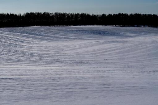 光と影が描く雪原の雄大な模様 雪景色,丘陵,雪面の写真素材
