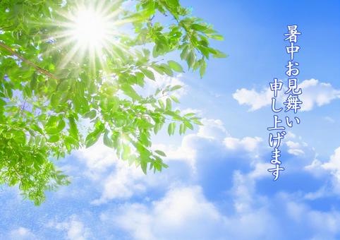 暑中お見舞い3 暑中お見舞い3 暑中お見舞い,夏のご挨拶,季節の挨拶の写真素材