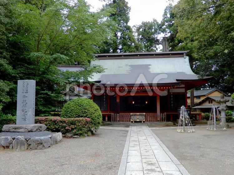下総国一宮　香取神宮 香取神宮,神社,下総国一宮の写真素材