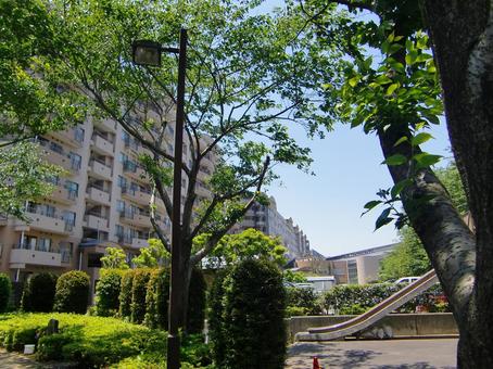 五月の緑風景-20 五月,緑,風景の写真素材