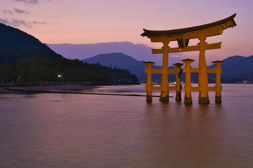 宮島：厳島神社・大鳥居・夕焼け 宮島,厳島神社,日本三景の写真素材