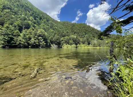 上高地 5 上高地 5の写真