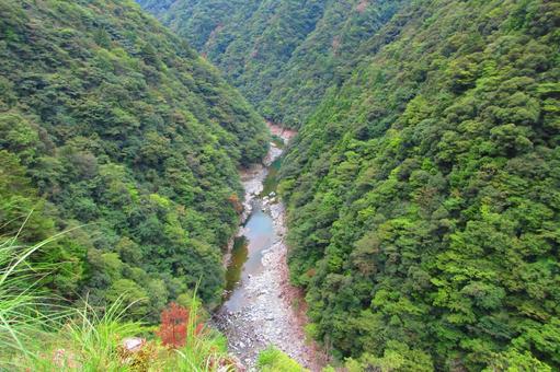 徳島県-祖谷渓-みどりの一里塚松尾 祖谷渓,渓谷,秘境の写真素材