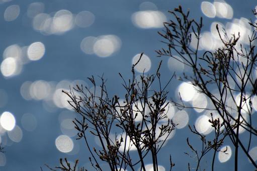 The reflection of the flowing river, sparkling and rounded in bokeh, round bokeh, balls of beads, glitter, JPG