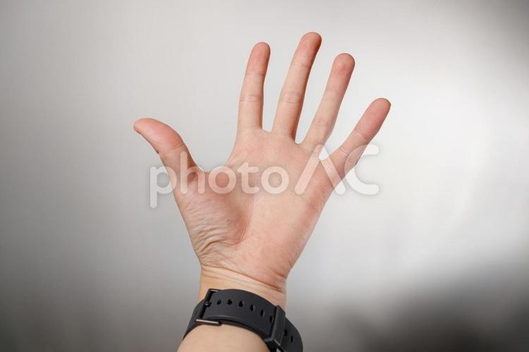 腕時計をしている手のひら 手のひら,左手,バンドの写真素材