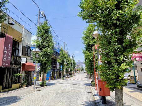 石畳と街路樹、ハッピーロード尾山台 商店街,石畳,街路樹の写真素材