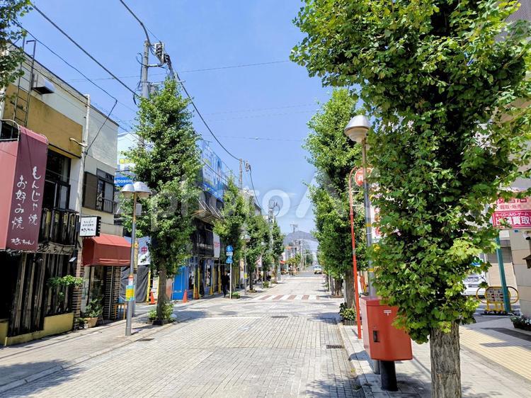 石畳と街路樹、ハッピーロード尾山台 商店街,石畳,街路樹の写真素材
