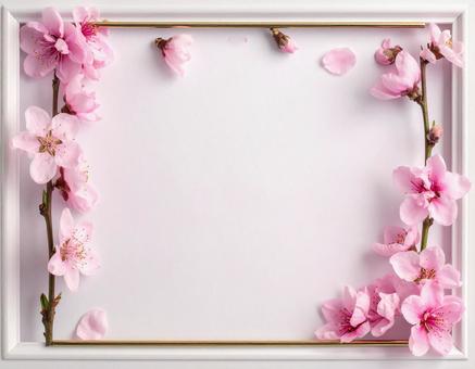 桜のフレーム 桜のフレームの写真