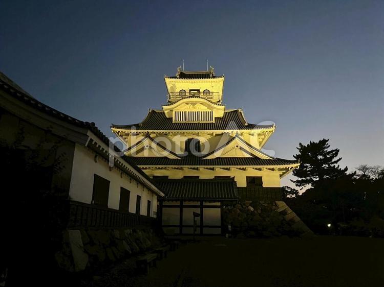 ライトアップされた長浜城 長浜城,城,ライトアップの写真素材
