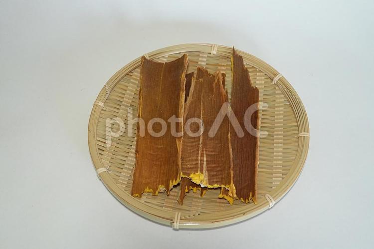 キハダ　黄柏（おうばく）　樹皮 キハダ,黄柏,おうばくの写真素材