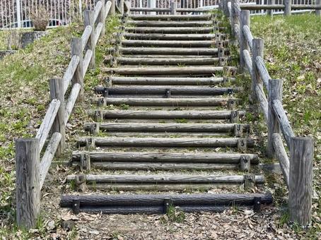 木の階段 階段,木,公園の写真素材