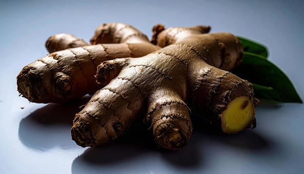 秋の味覚 しょうが 白背景 秋の味覚 しょうが 白背景の写真