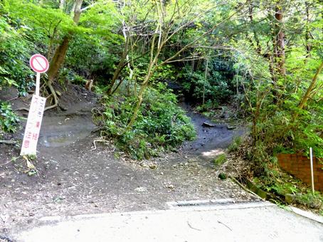 鎌倉・源氏山公園に登る化粧坂口 鎌倉・源氏山公園に登る化粧坂口の写真