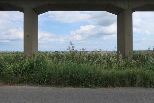 田舎道 田舎道の写真