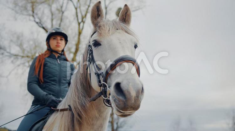 白馬に乗る格好いい女性騎手 馬,馬の顔,アップの写真素材
