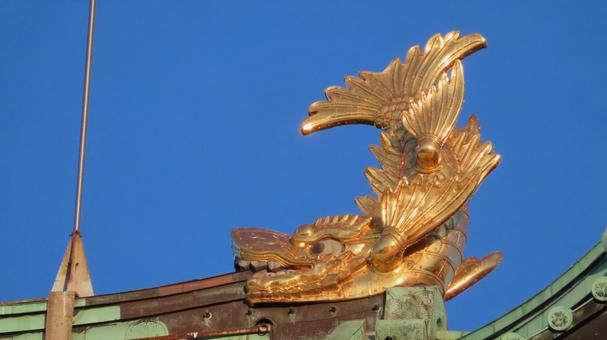 名古屋城　夕日に輝く金のシャチホコ　雌　 名古屋城,尾張徳川家,御三家の写真素材