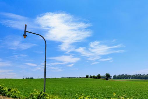 青空と畑 青空と畑 青空と畑,畑,青空の写真素材