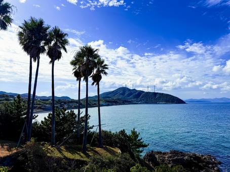 瀬戸内海の海とヤシの木の風景 海,椰子の木,青空の写真素材