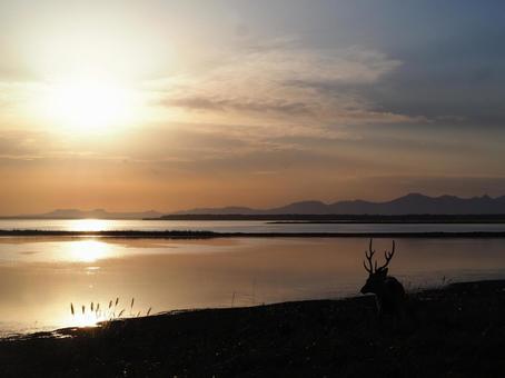 最北の大地で見た秋の夕暮れ 北海道,日本,夕日の写真素材