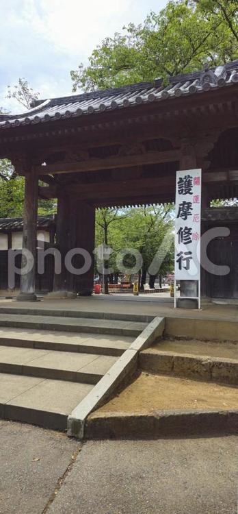 川越の名所　喜多院　周辺の風景 さいたま,川越,寺社仏閣の写真素材