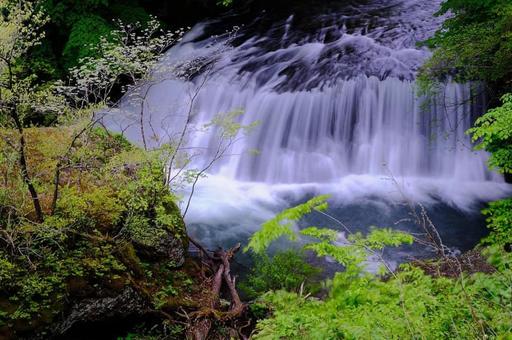 滝 滝,水域,自然の写真素材