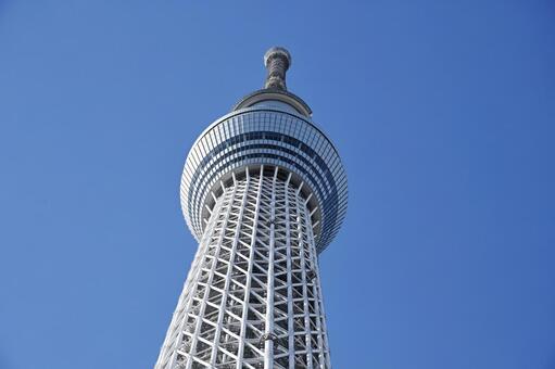 そびえ立つスカイツリー 東京スカイツリー,ランドマーク,風景の写真素材