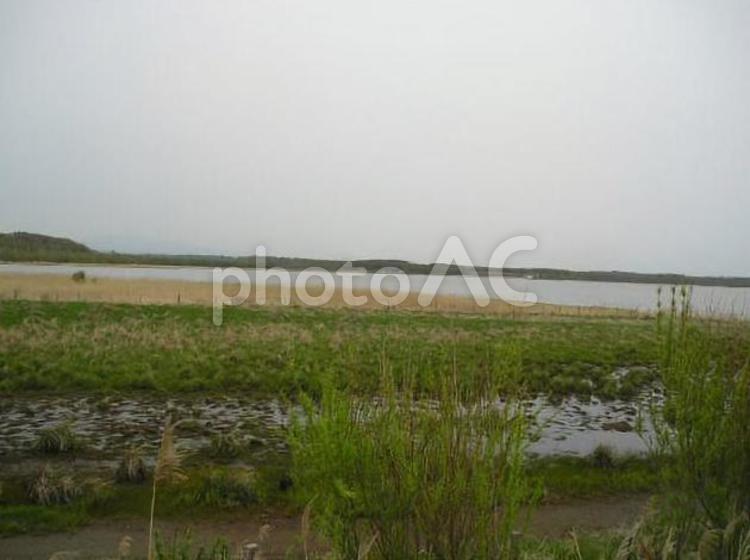 釧網本線沿線　～せんもうほんせん～ 5月,オホーツク海,ポッポやの写真素材