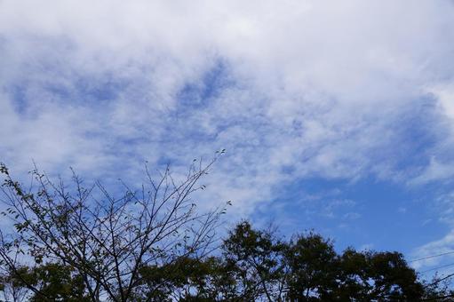 秋の空 秋の空の写真