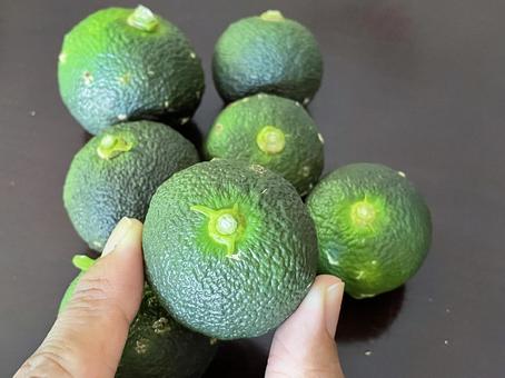 Green Yuzu, JPG Green Yuzu, JPG