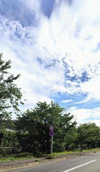 夏の空.夏の雲 夏の空.夏の雲の写真